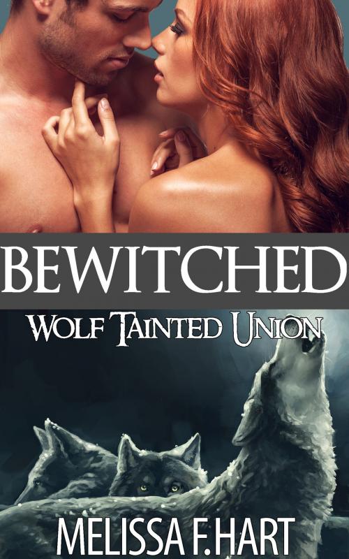 Cover of the book Bewitched by Melissa F. Hart, MFH Ink Publishing