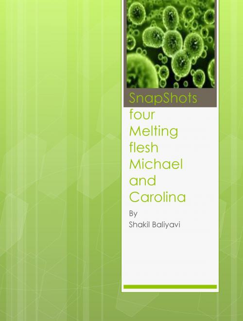 Cover of the book SnapShots Four (Melting Flesh) Michael and Carolina by Shakil Baliyavi Sr, Shakil Baliyavi, Sr