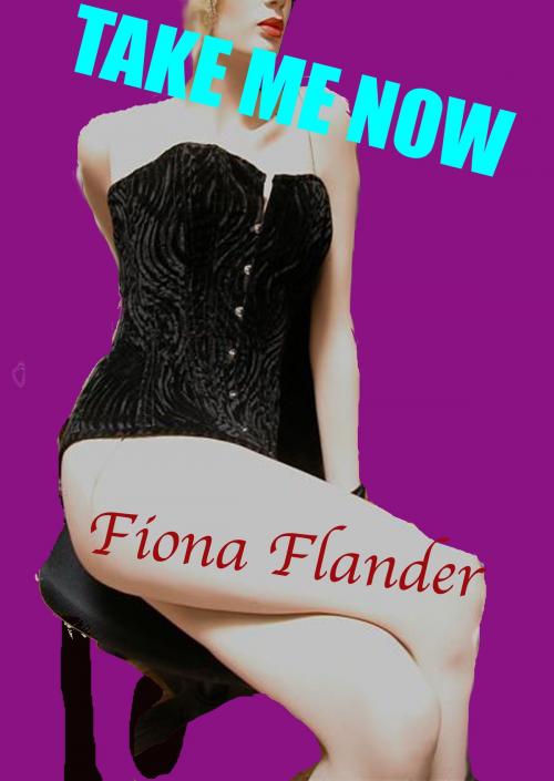 Cover of the book Take Me Now by Fiona Flander, Purple Clothespin