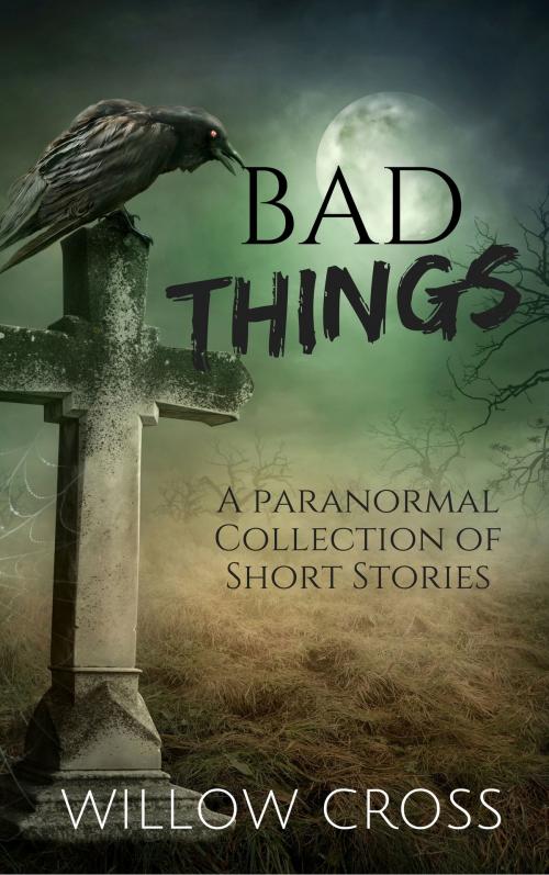 Cover of the book Bad Things by Willow Cross, Willow Cross