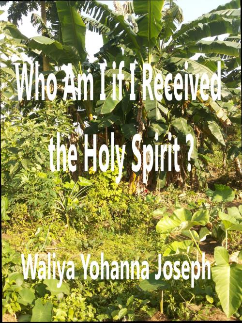 Cover of the book Who Am I If I Have Received The Holy Spirit? by Waliya Yohanna Joseph, Waliya Yohanna Joseph