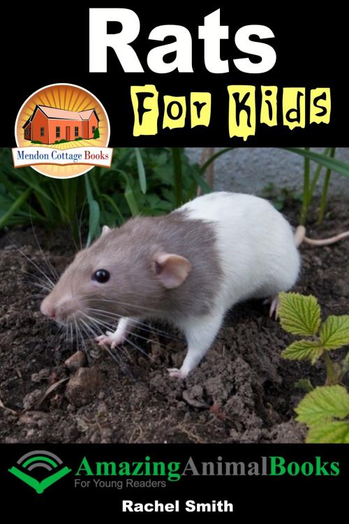 Cover of the book Rats For Kids by Rachel Smith, Mendon Cottage Books