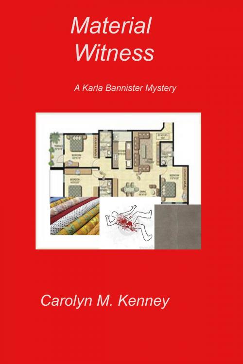 Cover of the book Material Witness by Carolyn Kenney, Carolyn Kenney