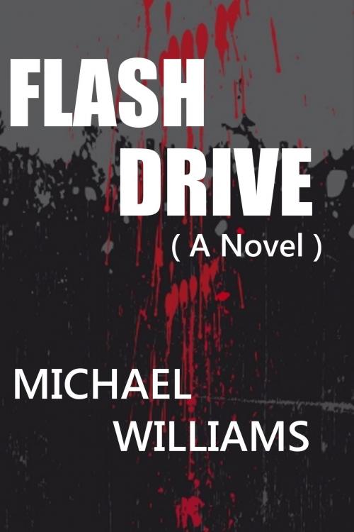 Cover of the book Flash Drive by Michael Williams, Michael Williams