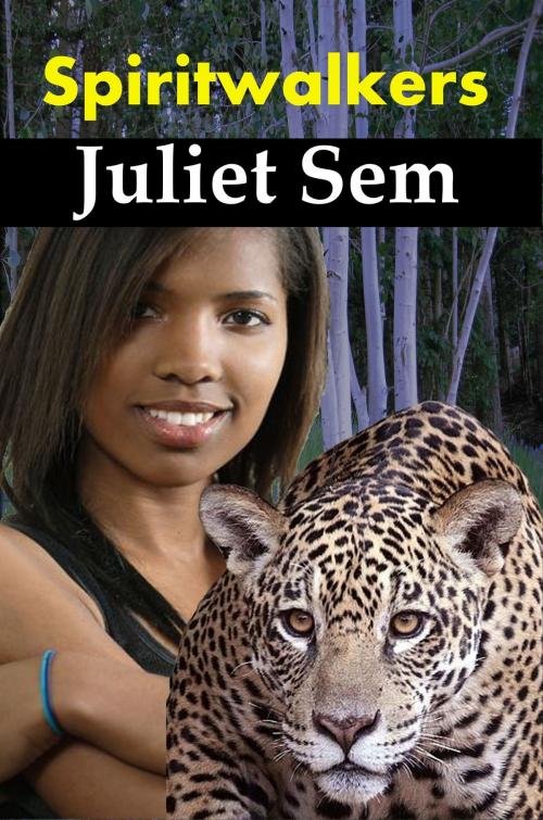 Cover of the book Spiritwalkers by Juliet Sem, Juliet Sem