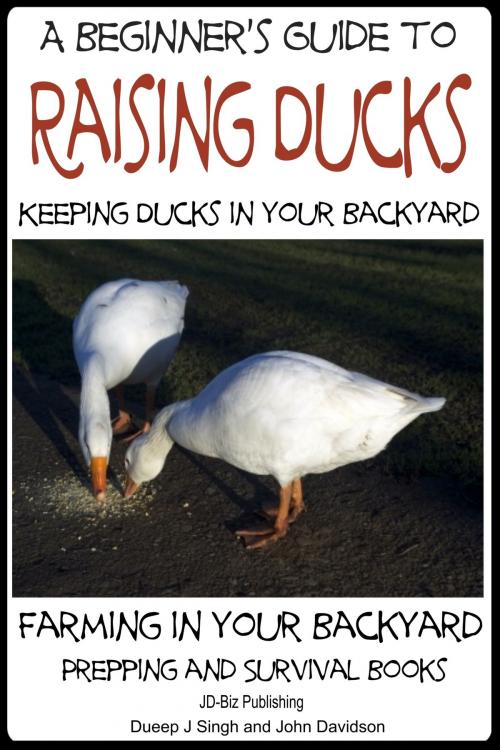 Cover of the book A Beginner’s Guide to Keeping Ducks: Keeping Ducks in Your Backyard by Dueep J. Singh, John Davidson, Mendon Cottage Books