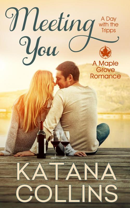 Cover of the book Meeting You by Katana Collins, Katana Collins