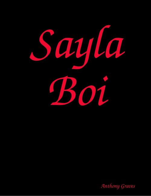 Cover of the book Sala Boi by Anthony Graves, Lulu.com