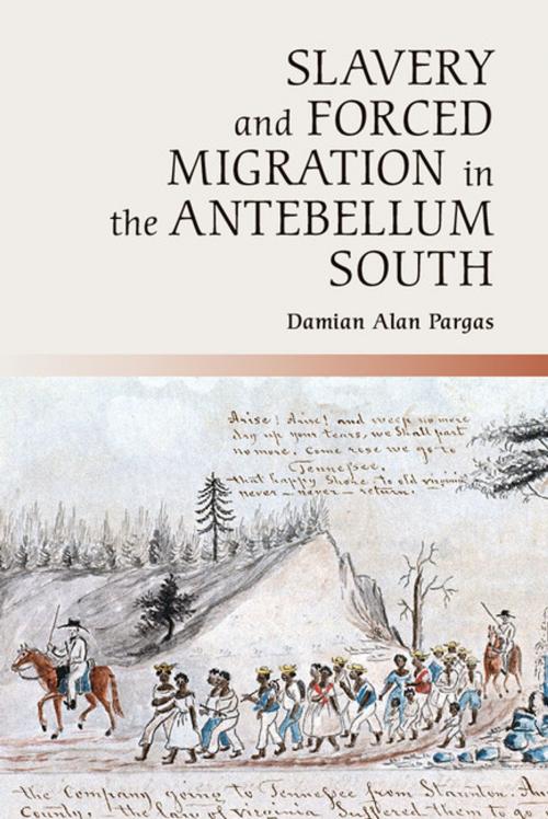 Cover of the book Slavery and Forced Migration in the Antebellum South by Dr Damian Alan Pargas, Cambridge University Press