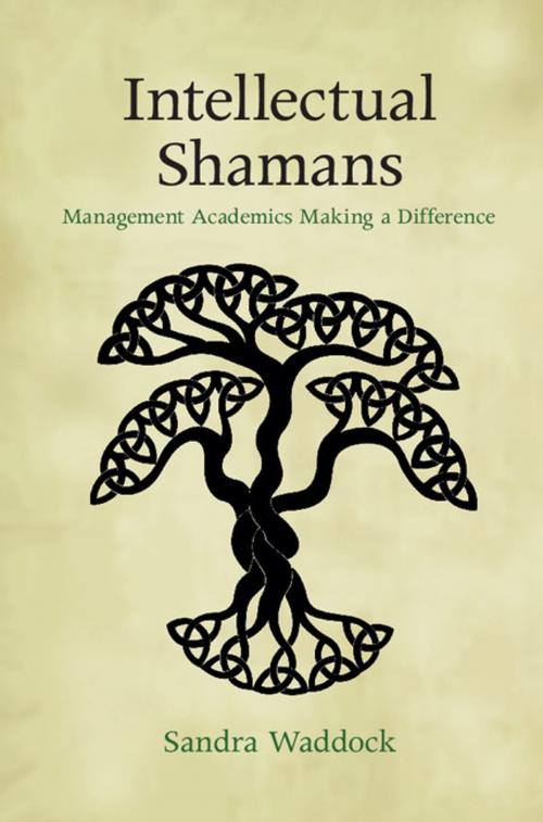Cover of the book Intellectual Shamans by Sandra Waddock, Cambridge University Press