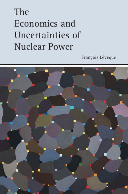 Cover of the book The Economics and Uncertainties of Nuclear Power by François Lévêque, Cambridge University Press