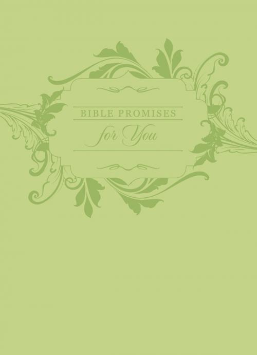 Cover of the book Bible Promises for You by BroadStreet Publishing Group LLC, BroadStreet Publishing Group, LLC