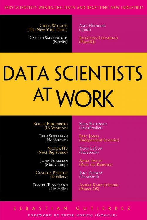 Cover of the book Data Scientists at Work by Sebastian Gutierrez, Apress