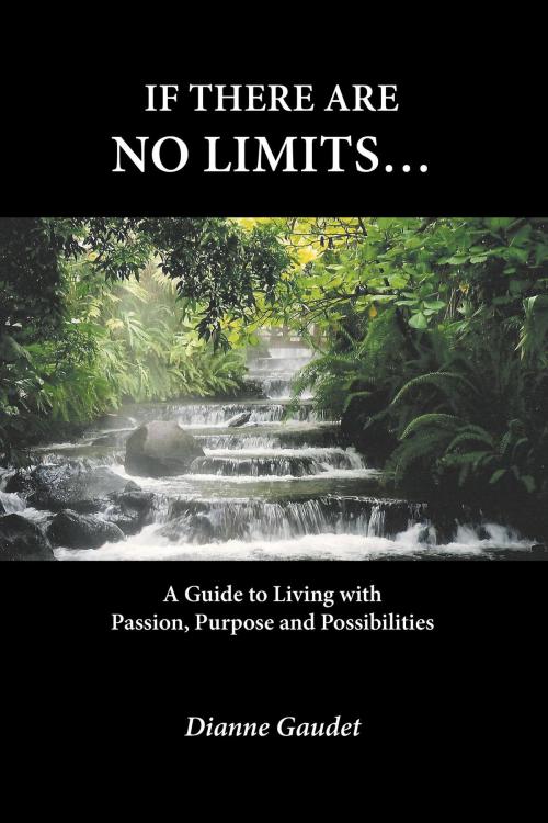 Cover of the book If there are no limits... by Dianne Gaudet, B.A. B.Comm CHRP, FriesenPress