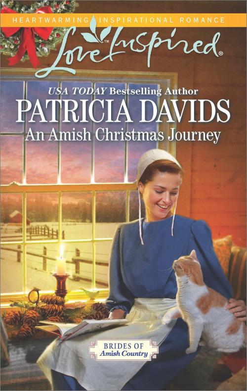 Cover of the book An Amish Christmas Journey by Patricia Davids, Harlequin