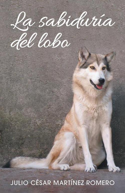 Cover of the book La Sabiduría Del Lobo by Julio César Martínez Romero, Palibrio