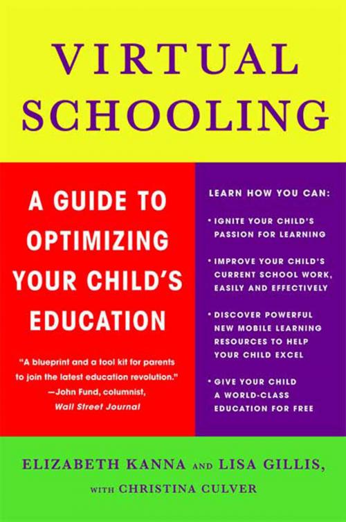 Cover of the book Virtual Schooling by Elizabeth Kanna, Lisa Gillis, Christina Culver, St. Martin's Press