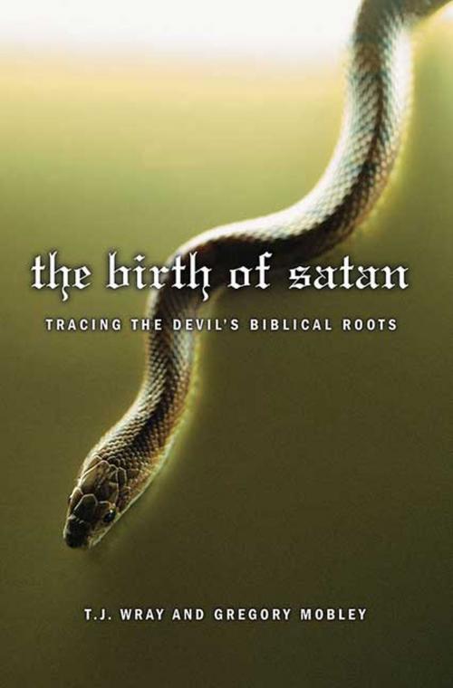 Cover of the book The Birth of Satan by T. J. Wray, Gregory Mobley, St. Martin's Press