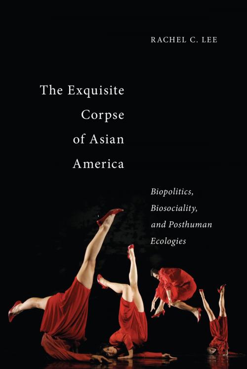 Cover of the book The Exquisite Corpse of Asian America by Rachel C. Lee, NYU Press