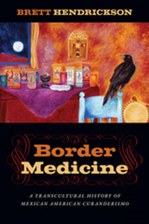 Cover of the book Border Medicine by Brett Hendrickson, NYU Press