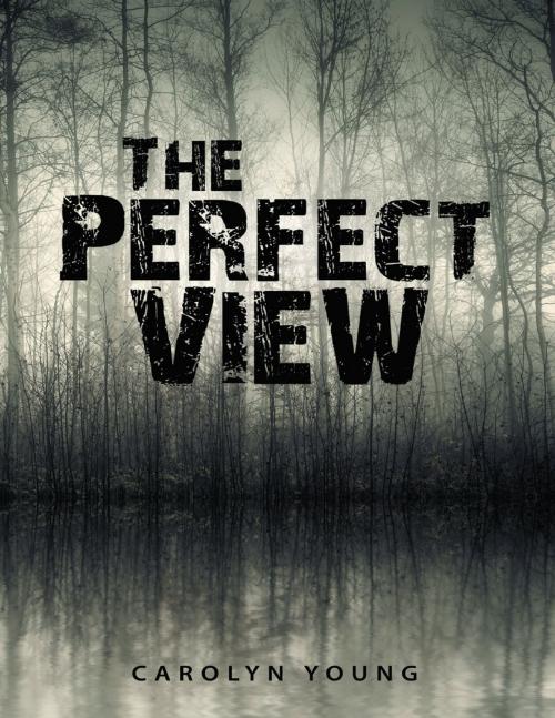 Cover of the book The Perfect View by Carolyn Young, Lulu Publishing Services