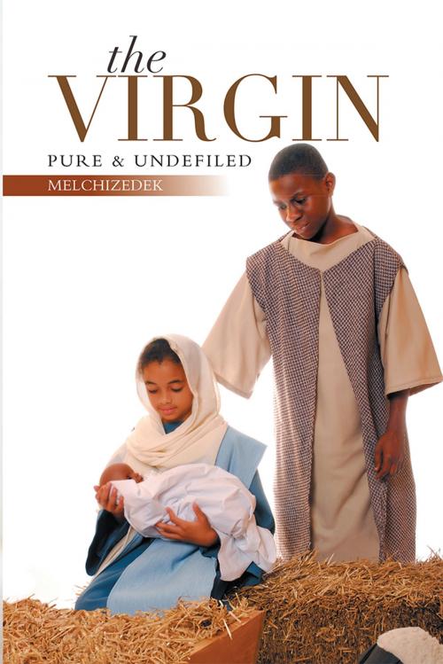 Cover of the book The Virgin by Melchizedek, Xlibris US