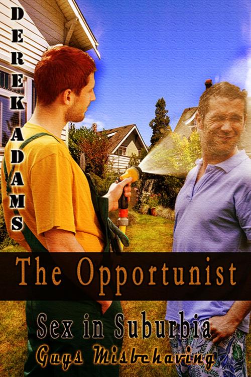 Cover of the book The Opportunist by Derek Adams, eXtasy Books Inc