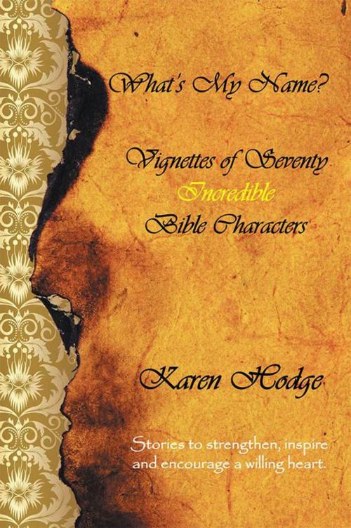 Cover of the book What's My Name? by Karen Hodge, WestBow Press