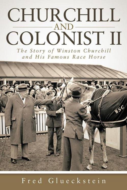 Cover of the book Churchill and Colonist Ii by Fred Glueckstein, iUniverse