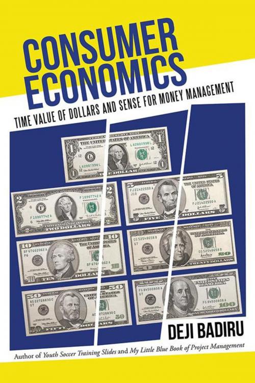 Cover of the book Consumer Economics by Deji Badiru, iUniverse