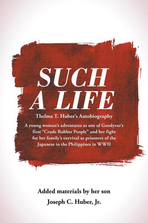 Cover of the book Such a Life by Joseph C. Huber Jr., AuthorHouse