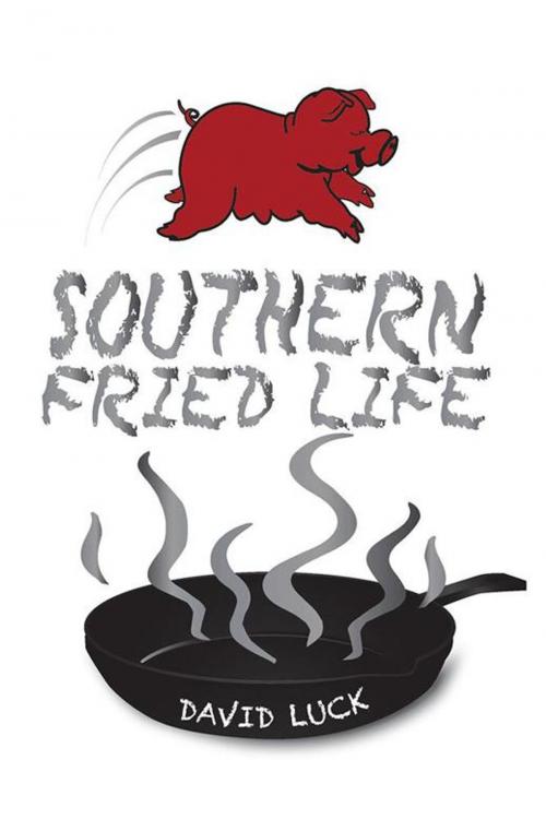 Cover of the book Southern Fried Life by David Luck, AuthorHouse