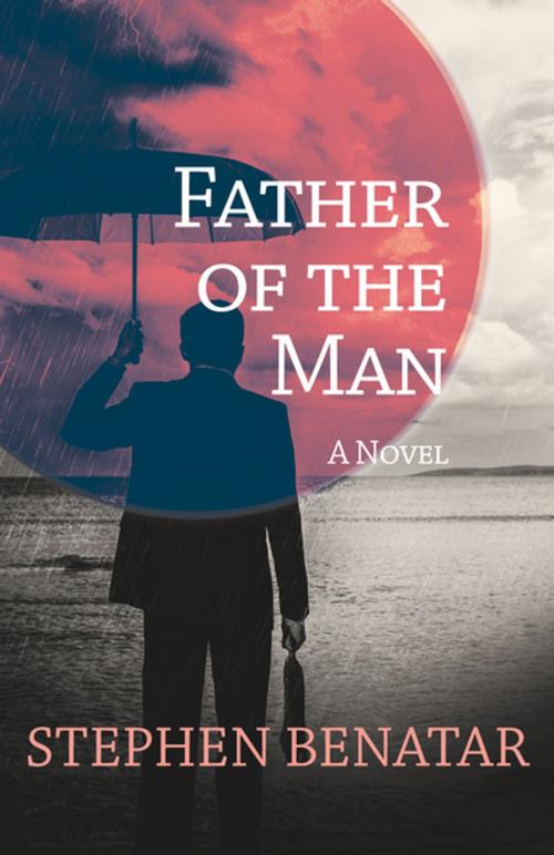 Cover of the book Father of the Man by Stephen Benatar, Open Road Distribution
