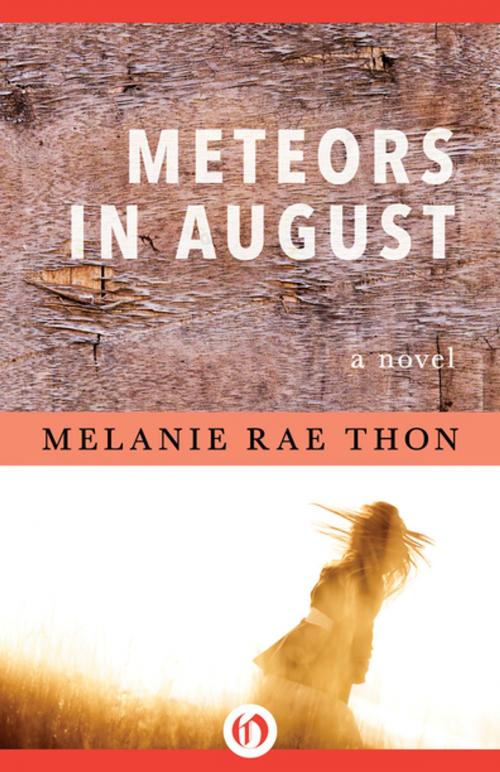 Cover of the book Meteors in August by Melanie Rae Thon, Open Road Media