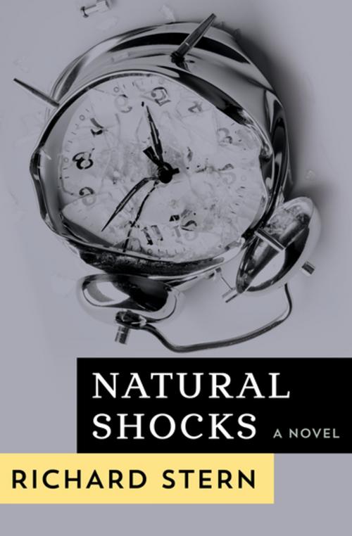 Cover of the book Natural Shocks by Richard Stern, Open Road Media