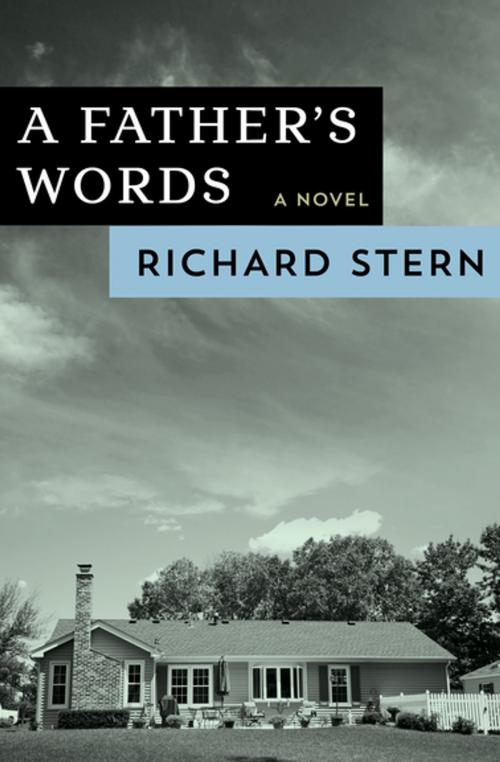 Cover of the book A Father's Words by Richard Stern, Open Road Media