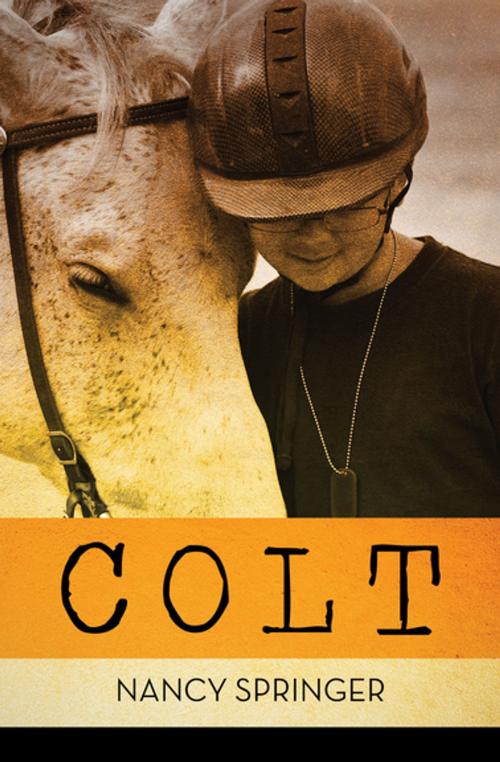 Cover of the book Colt by Nancy Springer, Open Road Media