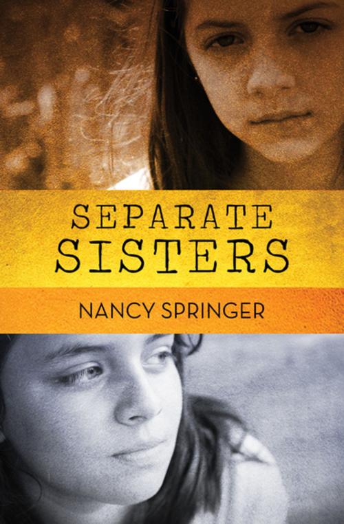 Cover of the book Separate Sisters by Nancy Springer, Open Road Media