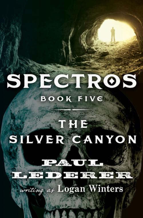 Cover of the book The Silver Canyon by Paul Lederer, Open Road Media