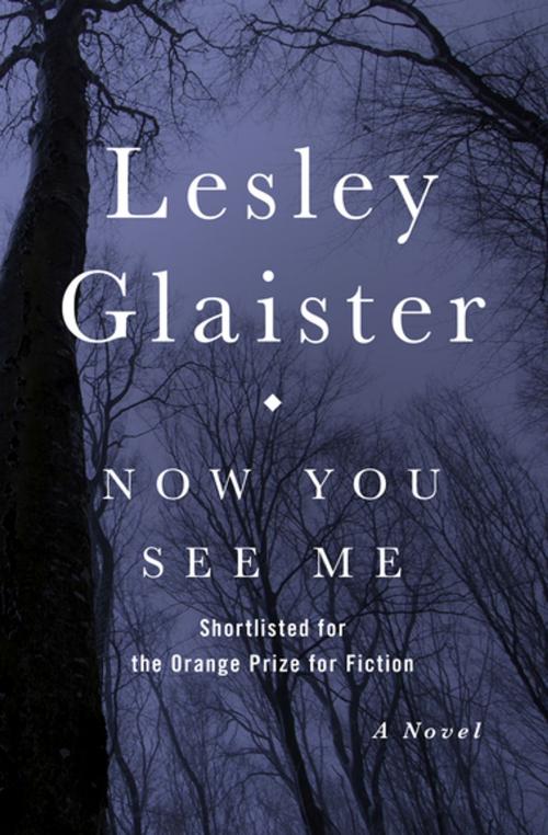 Cover of the book Now You See Me by Lesley Glaister, Open Road Media