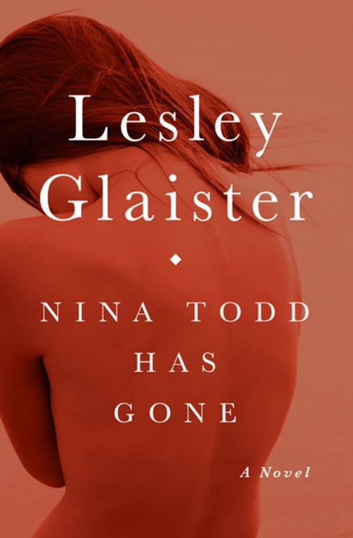 Cover of the book Nina Todd Has Gone by Lesley Glaister, Open Road Media