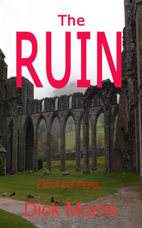 Cover of the book The Ruin by Dick Morris, Dick Morris
