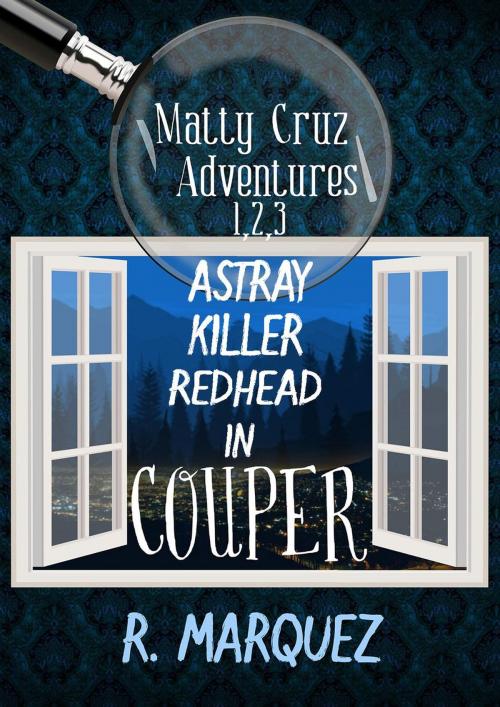 Cover of the book Matty Cruz Adventures 1,2,3: Box Set by R. Marquez, R.Marquez