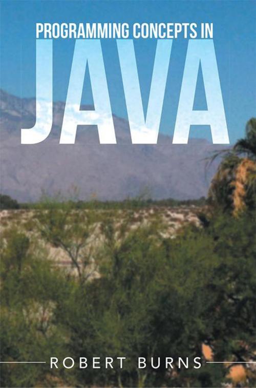 Cover of the book Programming Concepts in Java by Robert Burns, Xlibris US