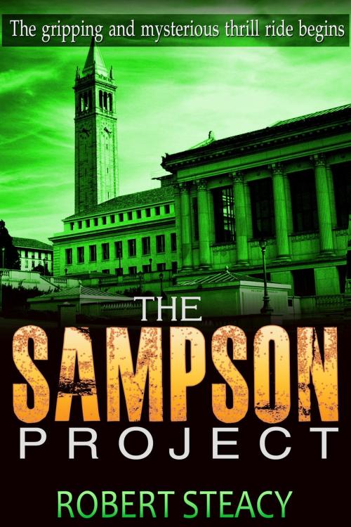 Cover of the book The Sampson Project by Robert Steacy, Robert Steacy