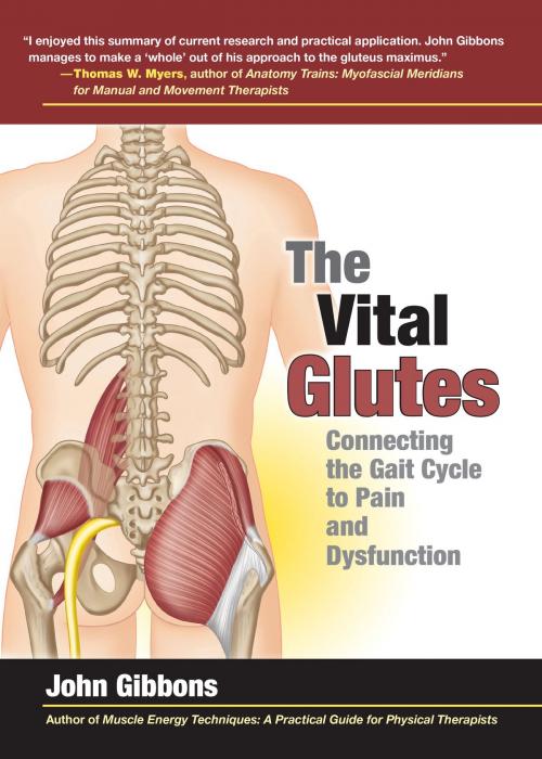 Cover of the book The Vital Glutes by John Gibbons, North Atlantic Books