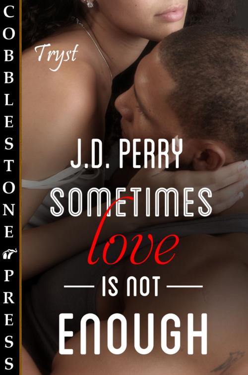 Cover of the book Sometimes Love is Not Enough by J.D. Perry, Cobblestone Press