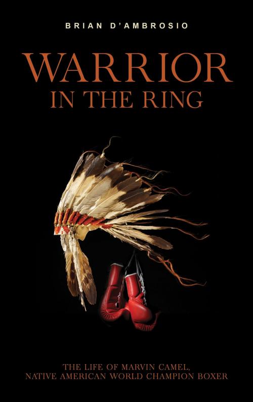 Cover of the book Warrior in the Ring by Brian D'Ambrosio, Riverbend Publishing