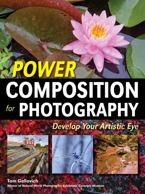 Cover of the book Power Composition for Photography by Tom Gallovich, Amherst Media