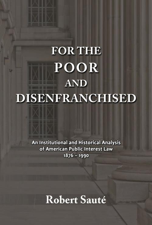Cover of the book For the Poor and Disenfranchised: An Institutional and Historical Analysis of American Public Interest Law, 1876-1990 by Robert Saute, Quid Pro, LLC